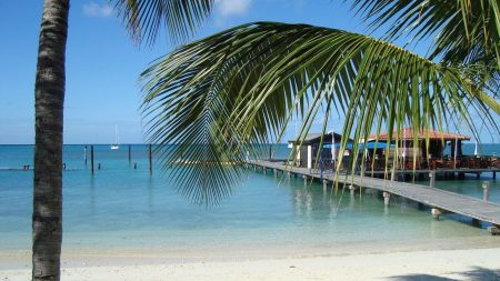 Découvrez le paradis des Caraïbes : pour vos vacances de rêve !